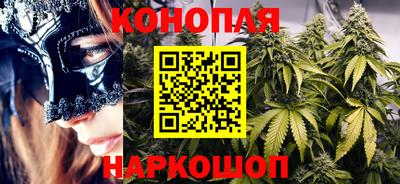 спайс Малгобек